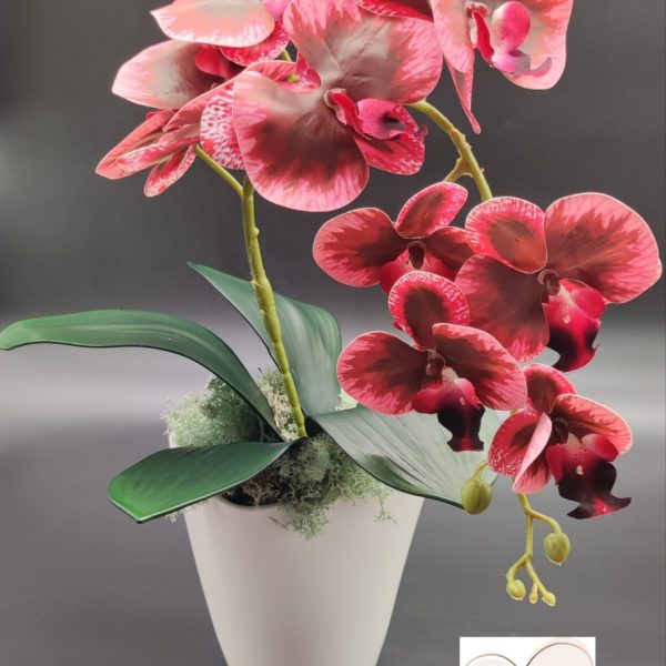 Bordó-pöttyös real touch orchidea ( 1 ágú )