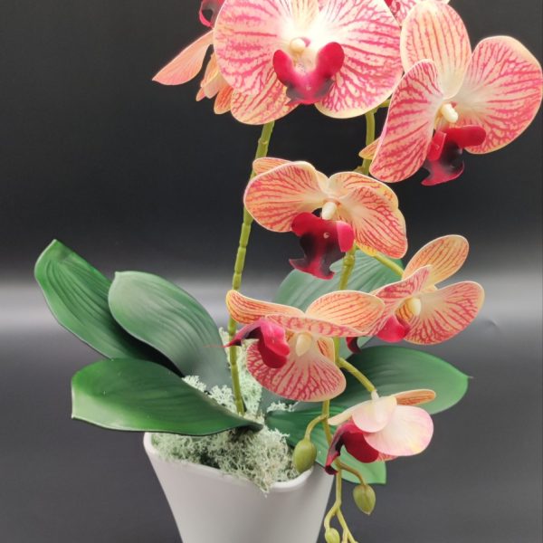 Cirkás real touch orchidea ( 1 ágú )