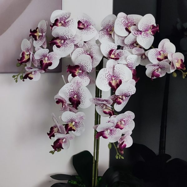 Fehér-lila padlóvázás real touch orchidea (4ágú kb 80-90cm)