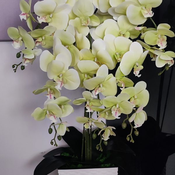 Halványsárga padlóvázás real touch orchidea (5 ágú kb 80-90cm )