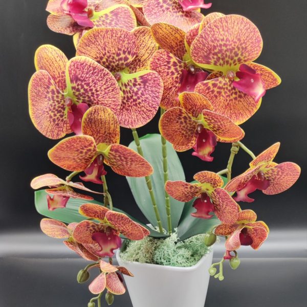 Cirkás -sárgászöld szélű real touch orchidea ( 2 ágú )
