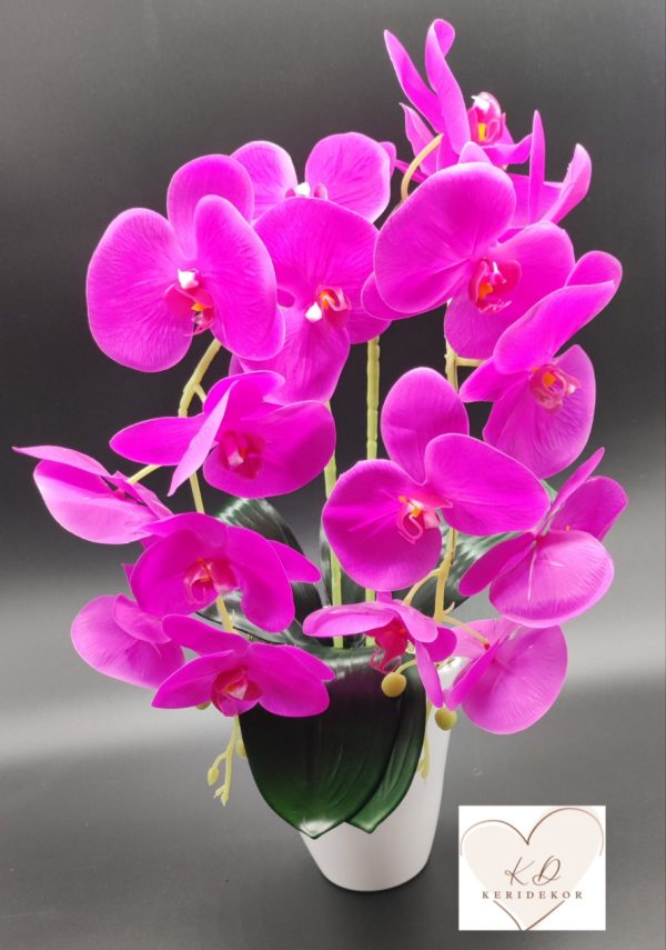 Élethű orchidea