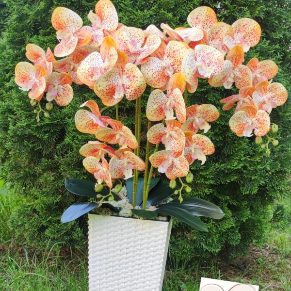 Barackvirág padlóvázás real touch orchidea ( 4 ágú )