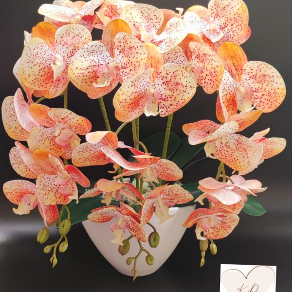 Barackvirág  real touch orchidea ( 3 ágú )