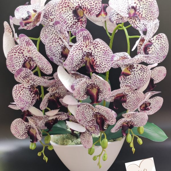 Fehér lila real touch orchidea ( 3 ágú )