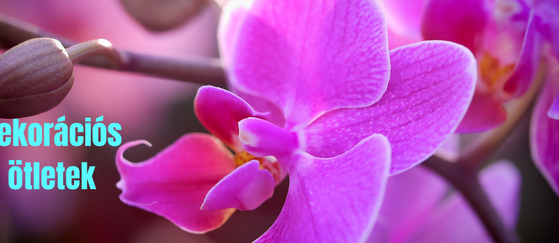 Gondozásmentes orchidea real touch real touch orchidea művirág műorchidea handmade flowers dekor homedekor homedecor lakberendezés otthondekor dekoráció ajándék buxus asztaldísz kopogtató ajtódísz ünnep karácsony húsvét anyáknapja születésnap névnap Keridekor