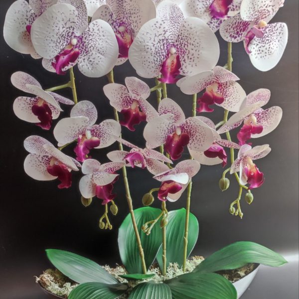 Fehér-lila  real touch orchidea ( 3 ágú ) csónak kaspóban