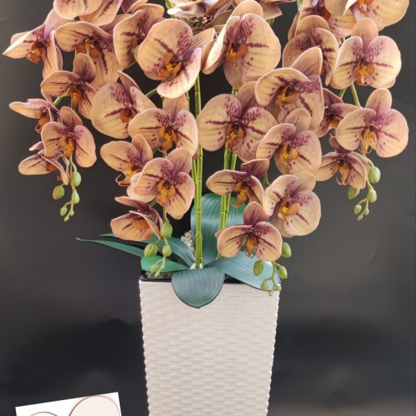 Barna padlóvázás real touch orchidea ( 4 ágú )