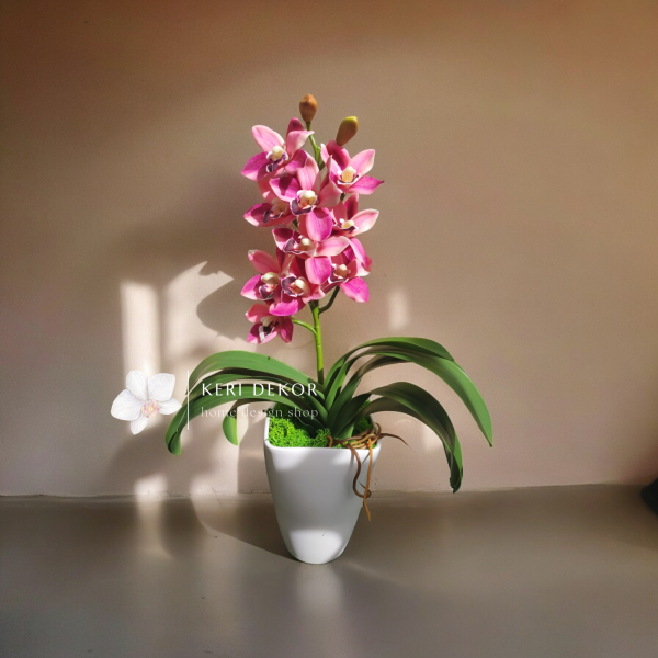 Rózsaszín cymbidium orchidea 1 ágú