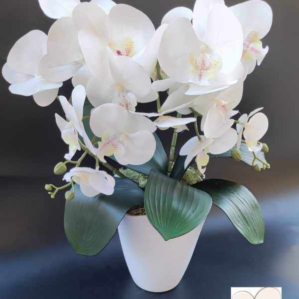Fehér pöttyös bibés real touch orchidea ( 2 ágú )