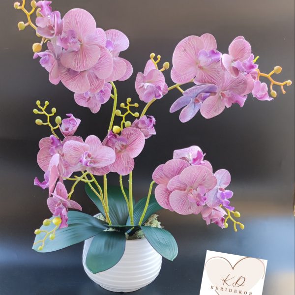 Hat ágú orchidea