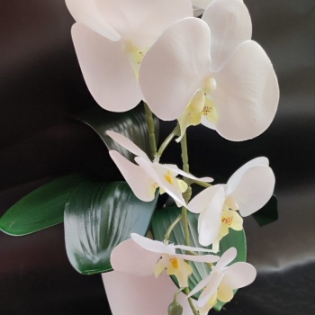 Fehér sárga bibés real touch orchidea ( 1 ágú )
