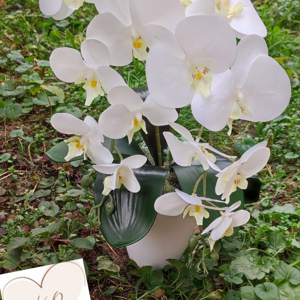 Fehér sárga bibés real touch orchidea ( 2 ágú )