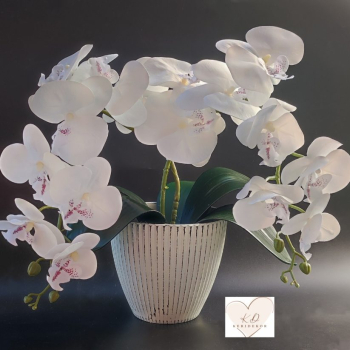 Orchideás sírdísz nehezített kaspóval (Bármilyen orchideával kérhető 1 vagy 2 ággal) Csak egyedi rendelésre