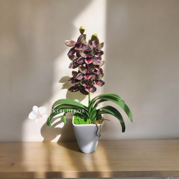 Lilás cymbidium  orchidea ( 1 ágú )