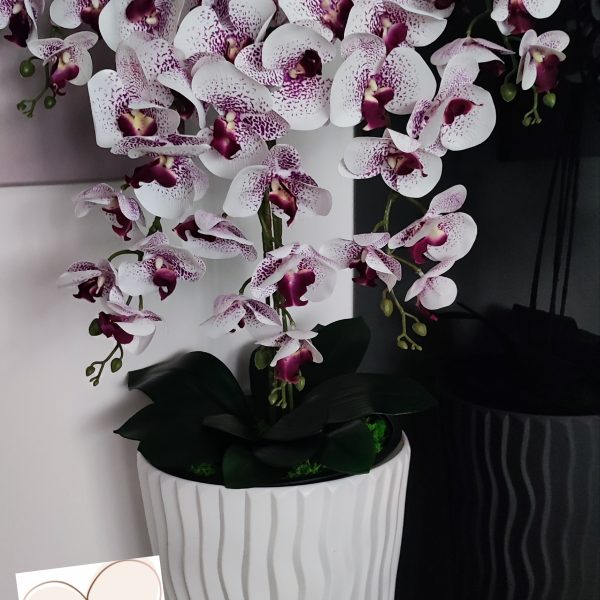 Fehér hullámos kaspó 5 ágú fehér-lila orchideával kb 110cm