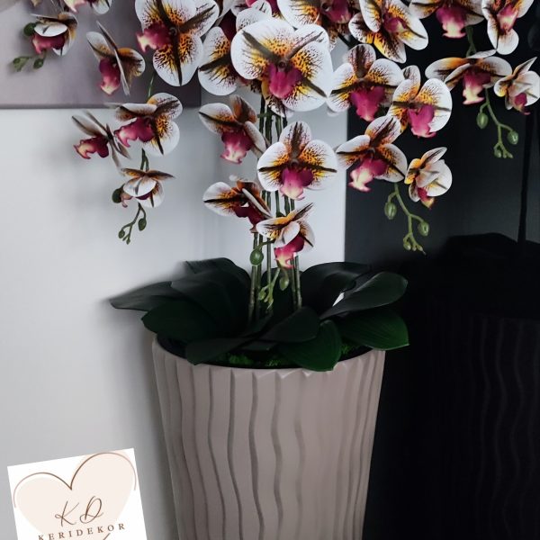 Barna hullámos kaspó 5 ágú 4színű orchidea kb 110 cm