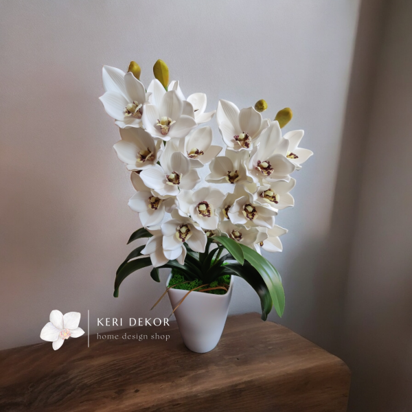 Fehér cymbidium soft touch orchidea (2 ágú)