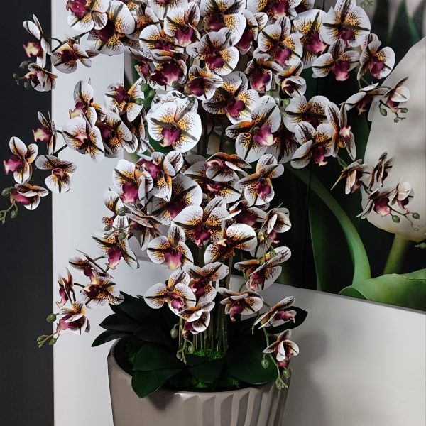 Óriás 4színű padlóvázás real touch orchidea ( 14 ágú kb 150-160cm)