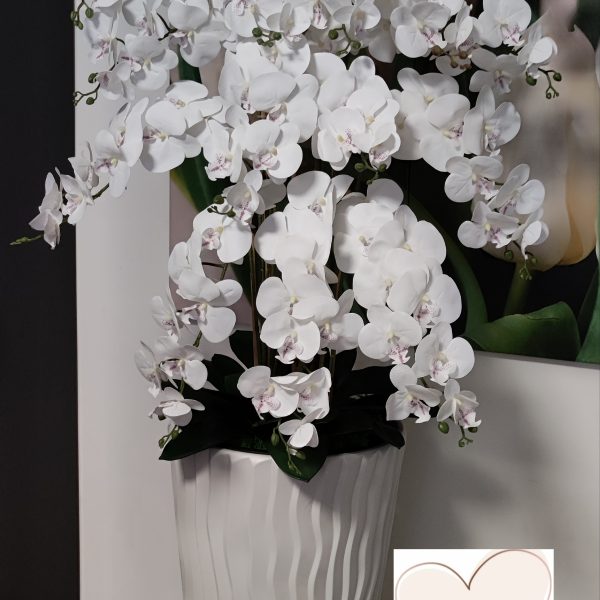 Óriás Fehér-bibés padlóvázás real touch orchidea 14 ágú kb 150-160 cm