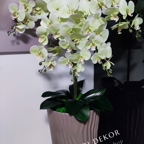 Barna hullámos kaspó halványsárga 5 ágú orchidea kb 110 cm