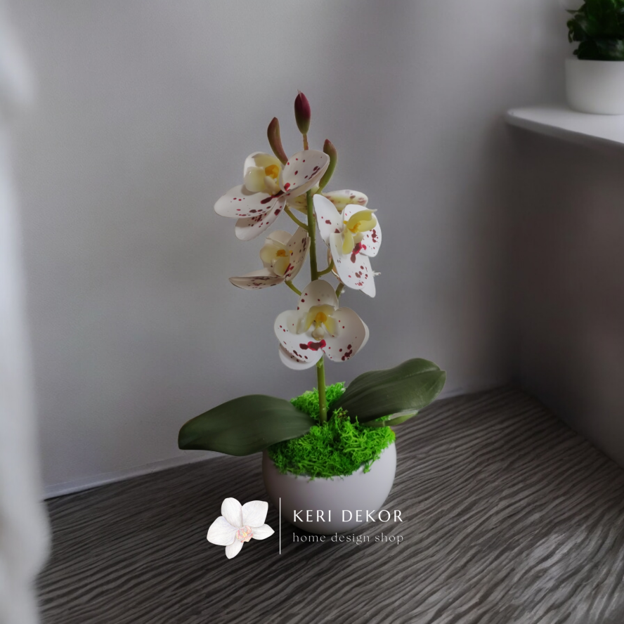 Művirág Gondozásmentes orchidea real touch real touch orchidea művirág műorchidea handmade flowers dekor homedekor homedecor lakberendezés otthondekor dekoráció ajándék buxus asztaldísz kopogtató ajtódísz ünnep karácsony húsvét anyáknapja születésnap névnap Keridekor