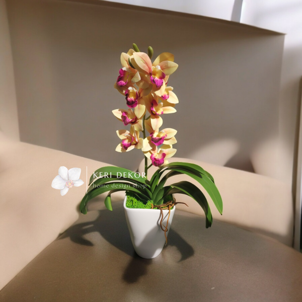 Sárga-rózsaszín cymbidium  orchidea ( 1 ágú )