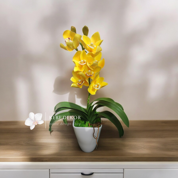 Citrom cymbidium real touch orchidea 1 ágú