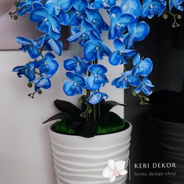 Fehér vízhullámos kaspó 5 ágú kék orchideával   kb 110cm