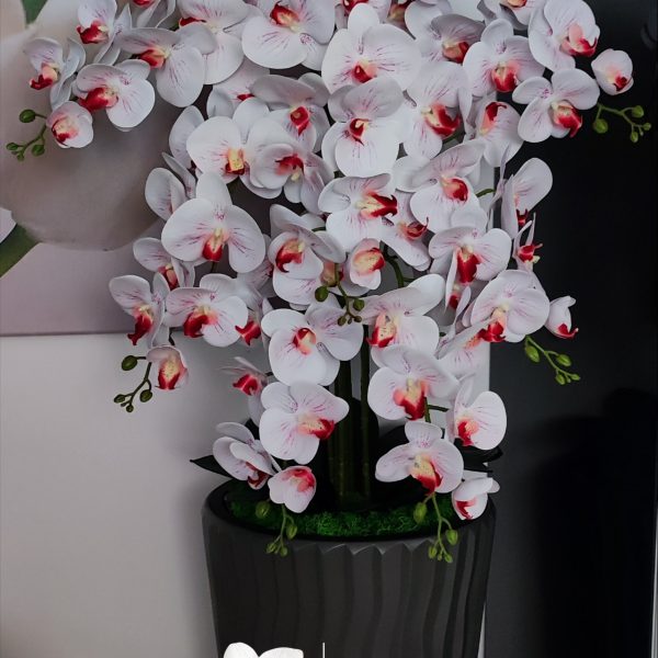 Szürke hullámos kaspó 7 ágú fehér piros bibés orchideával   kb 120-130cm