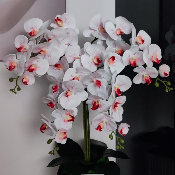 Fehér piros bibés padlóvázás real touch orchidea ( 4 ágú kb 80-90cm)