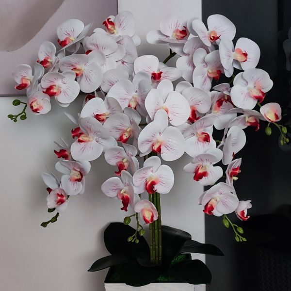 Fehér piros bibés padlóvázás real touch orchidea ( 5 ágú kb 80-90cm)