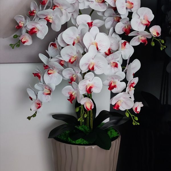 Barna hullámos kaspó 5 ágú fehér piros bibés orchidea  kb 110cm