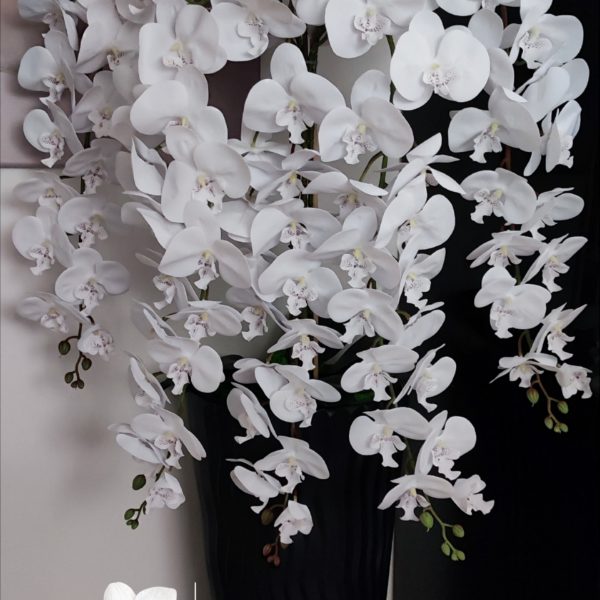 Antracit hullámos kaspó 5 ágú hosszúágú fehér orchidea  kb 115cm