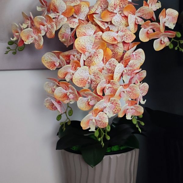 Barna hullámos kaspó 5 ágú barack orchideával  kb 110cm