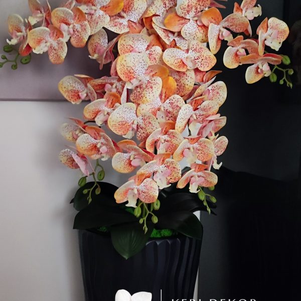 Antracit hullámos kaspó 5 ágú barack orchideával  kb 110cm