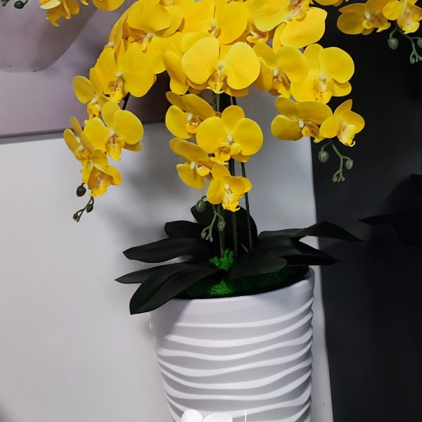 Fehér vízhullámos kaspó 5 ágú citromsárga orchideával   kb 110cm