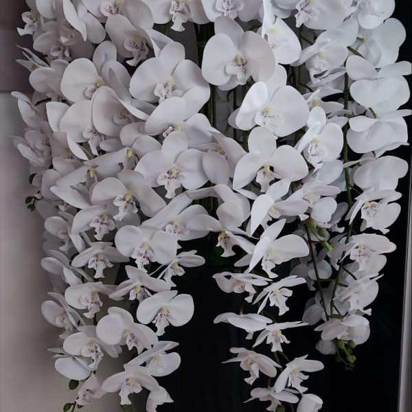 Fehér hosszú 10 ágú orchidea kb 130cm