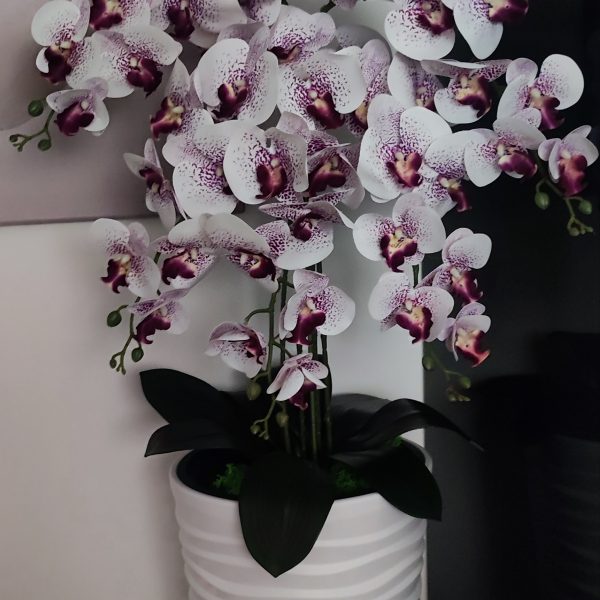 Fehér vízhullámos kaspó 5 ágú fehér lila orchideával   kb 110cm