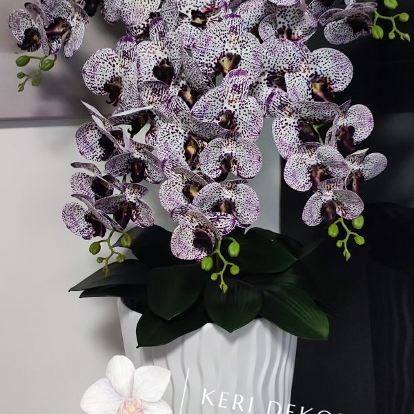 Fehér hullámos kaspó 5 ágú lila pöttyös orchideával  kb 110cm