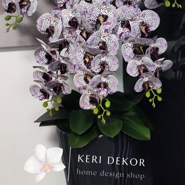 Antracit hullámos kaspó 5 ágú lila pöttyös orchideával  kb 110cm