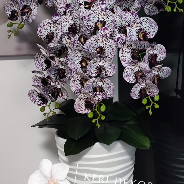 Fehér vízhullámos kaspó 5 ágú lila pöttyös orchideával   kb 110cm