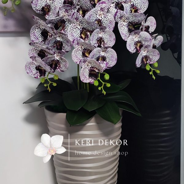 Barna vízhullámos kaspó 5 ágú lila pöttyös orchideával  kb 110cm