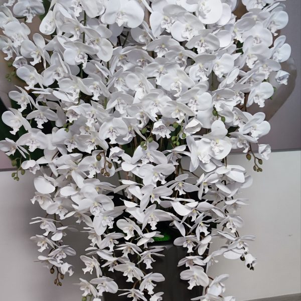 Óriás Fehér csüngős orchidea  szürke kaspóval  (össz mérete 150cm)