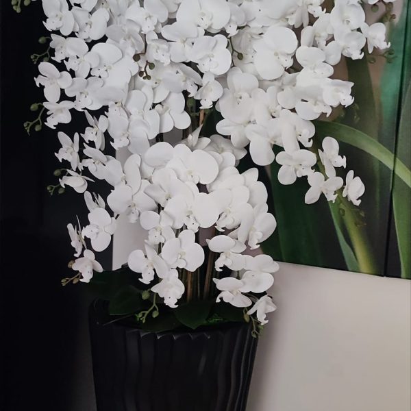 Óriás hófehér padlóvázás real touch orchidea ( 14 ágú kb 150-160cm) Antracit kaspóval