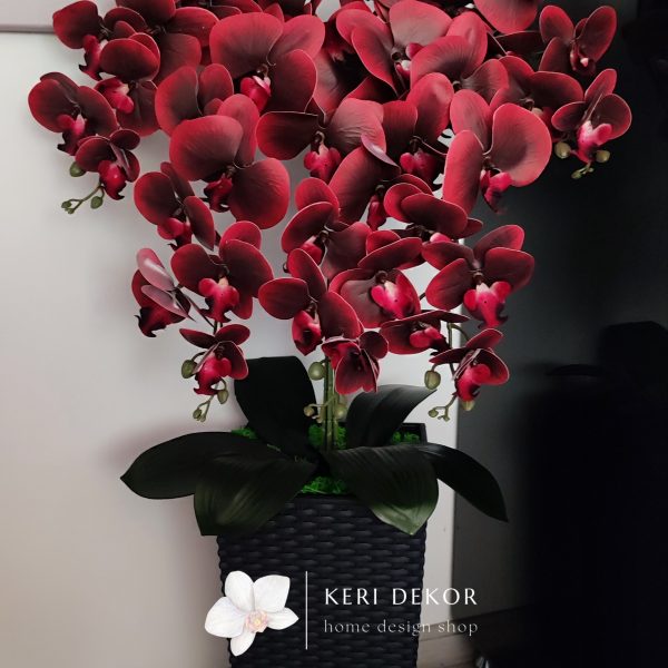 Antracit kaspós 5 ágú bordó orchidea kb 80-90cm