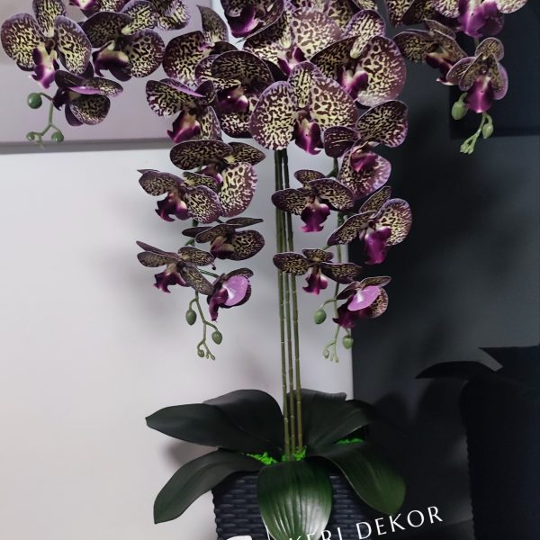 Antracit kaspós 4 ágú lila foltos real touch orchidea   kb 80-90cm