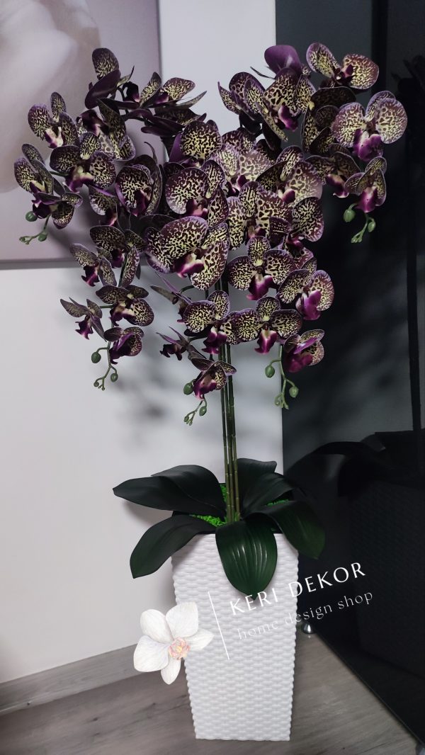 Gondozásmentes orchidea real touch real touch orchidea művirág műorchidea handmade flowers dekor homedekor homedecor lakberendezés otthondekor dekoráció ajándék buxus asztaldísz kopogtató ajtódísz ünnep karácsony húsvét anyáknapja születésnap névnap Keridekor