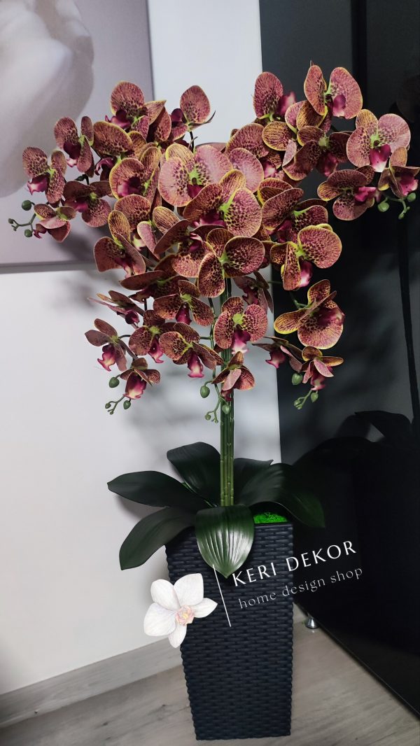 Gondozásmentes orchidea real touch real touch orchidea művirág műorchidea handmade flowers dekor homedekor homedecor lakberendezés otthondekor dekoráció ajándék buxus asztaldísz kopogtató ajtódísz ünnep karácsony húsvét anyáknapja születésnap névnap Keridekor