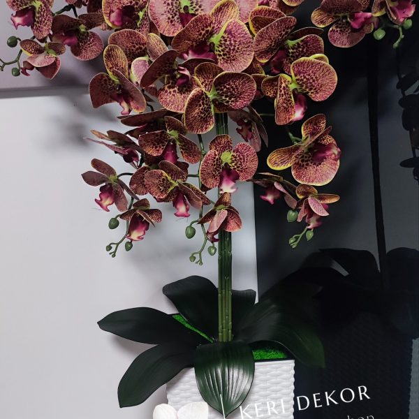 Fehér kaspó  sárgászöld szélű real touch orchideával ( 5 ágú )   kb 80-90cm